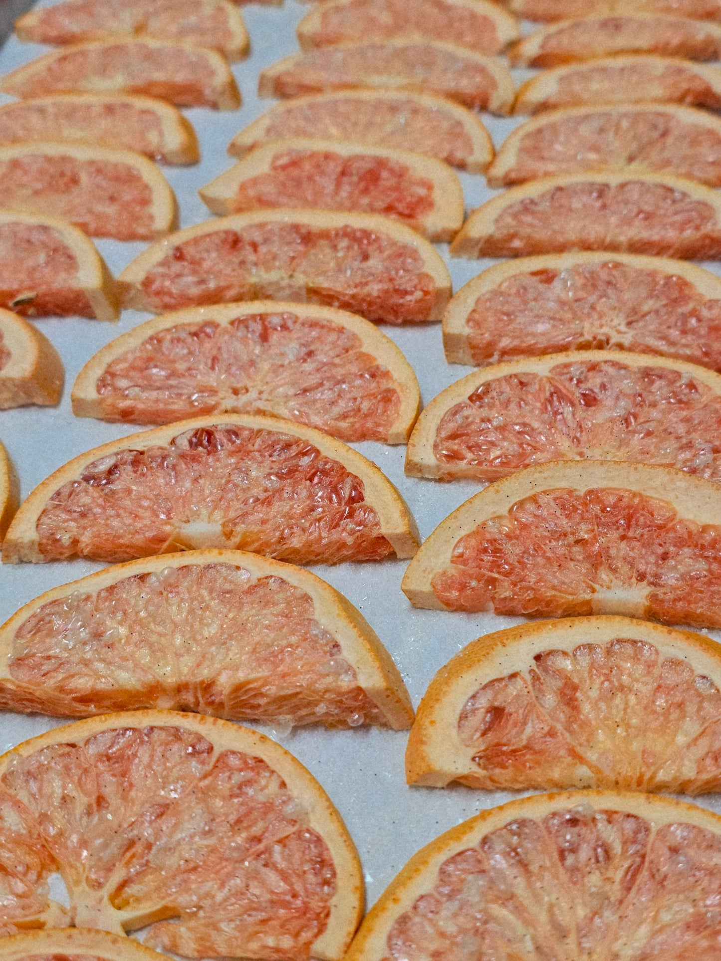 Freeze Dried Simmer Pot Kit- Spring Fresh