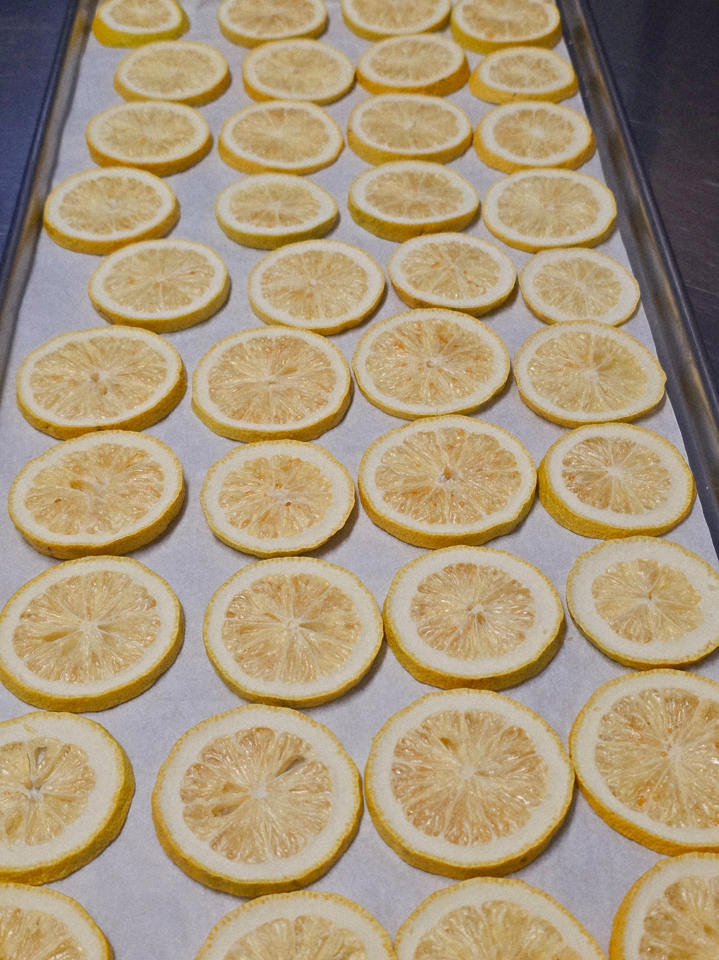 Freeze Dried Simmer Pot Kit- Spring Fresh